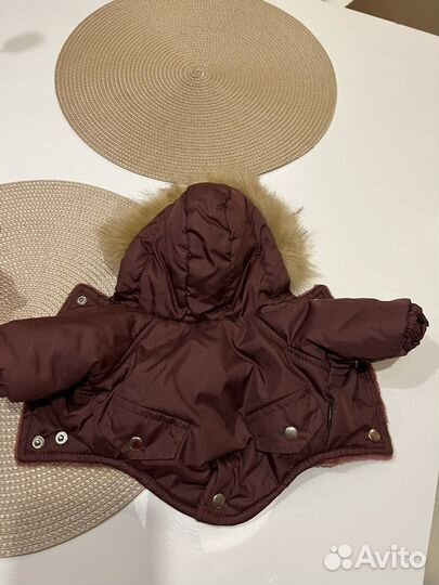 Одежда для чихуахуа