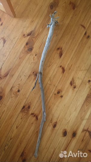 Коряга для посоха