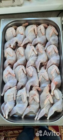 Яйца перепелиные инкубационные