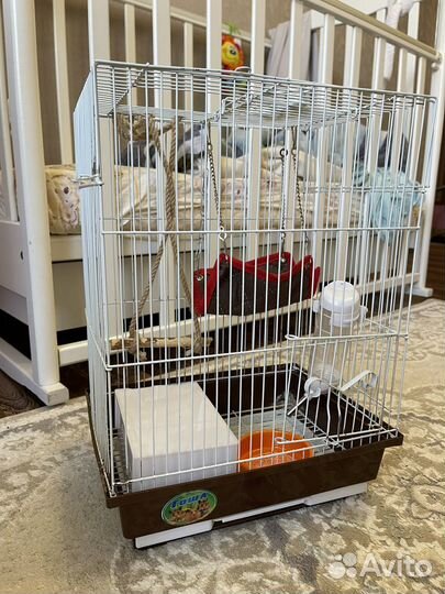 Клетка для Сирийского или джунгарика хомяка