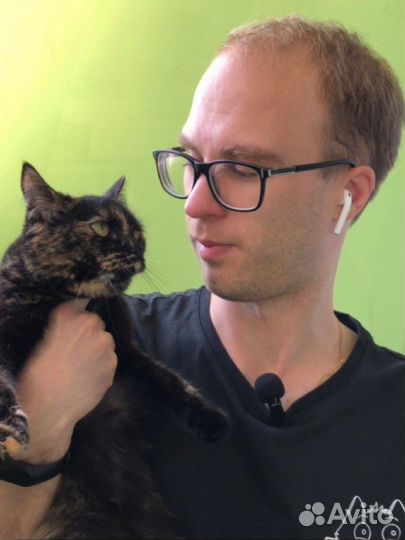 Репетитор по математике/Помощь по математике