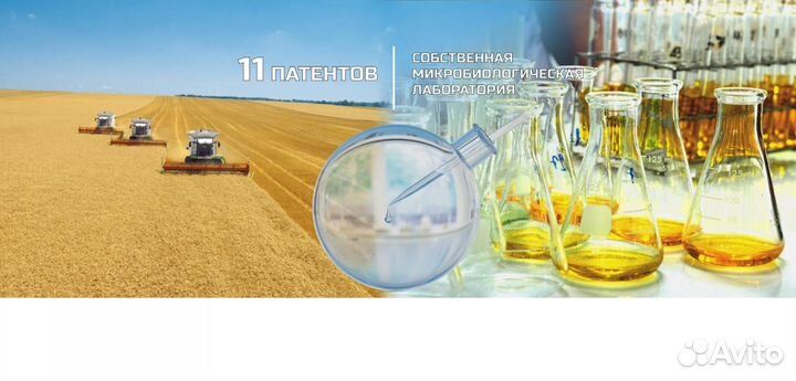 Семена подсолнечника нсх 6012 Express Sun