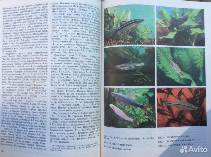 Книга об аквариумных рыбках
