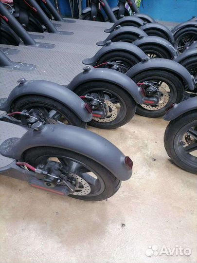 Кикшеринг самокаты