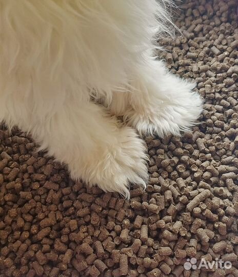 Наполнитель