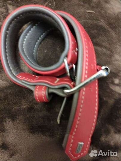 Ошейник для собак