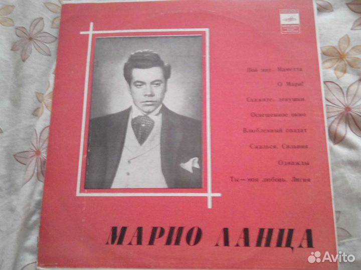Виниловая пластинка