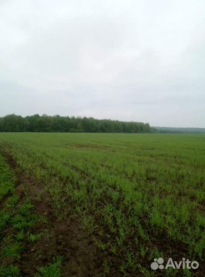 Сельхозпредприятие