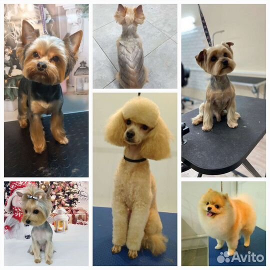 Красота и Настроение за достойное вознаграждение