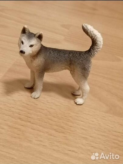 Schliech собаки хаски чит опис