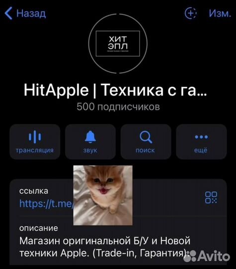 iPhone 12, 256 ГБ