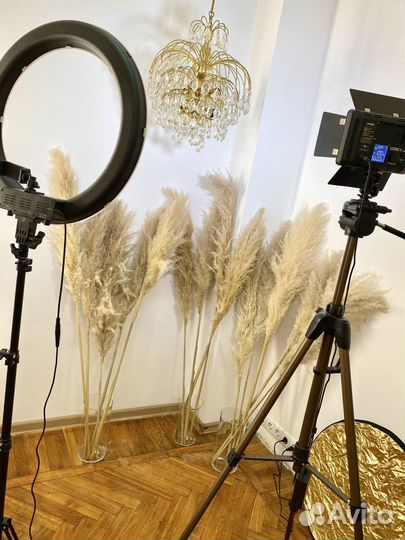 Аренда бьюти коворкинга для визажистов, бровистов