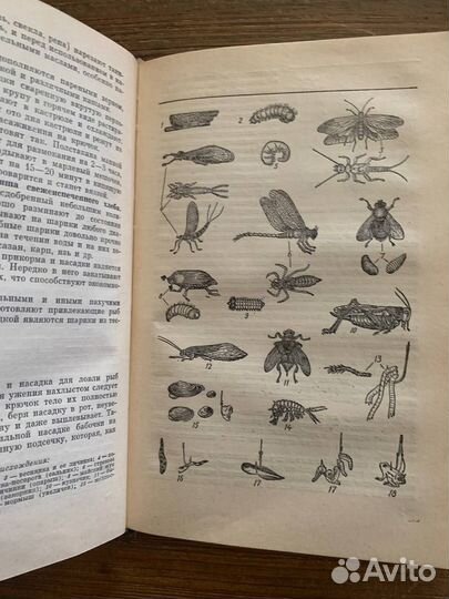 Книги для любителей рыбалки