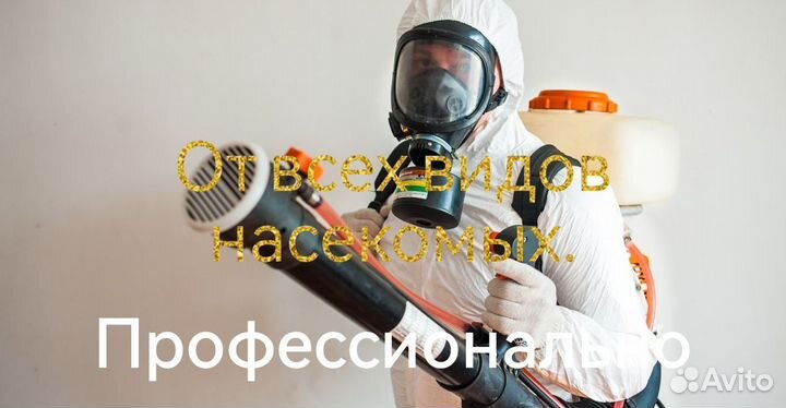 Уничтожение всех видов насекомых