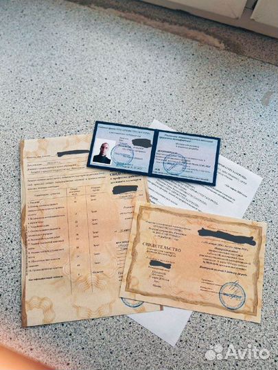 Обучение корочки дипломы