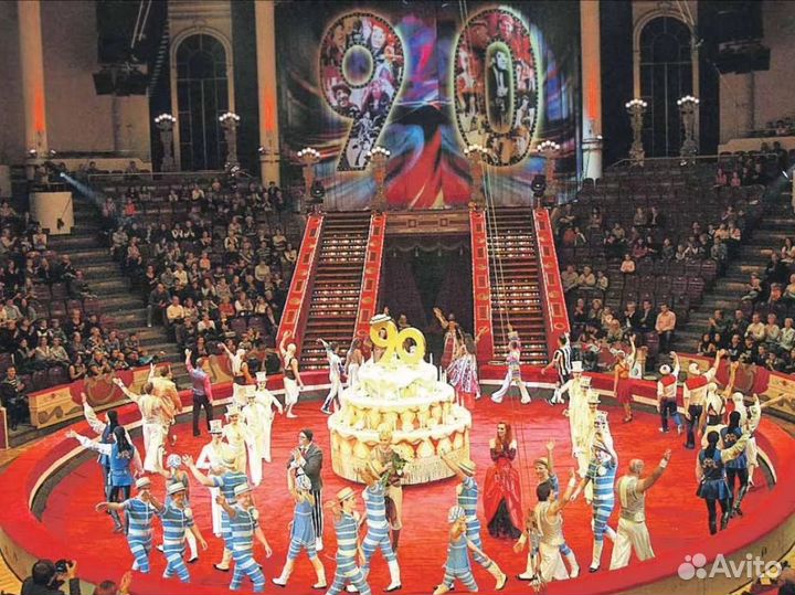 Билеты в цирк никулина