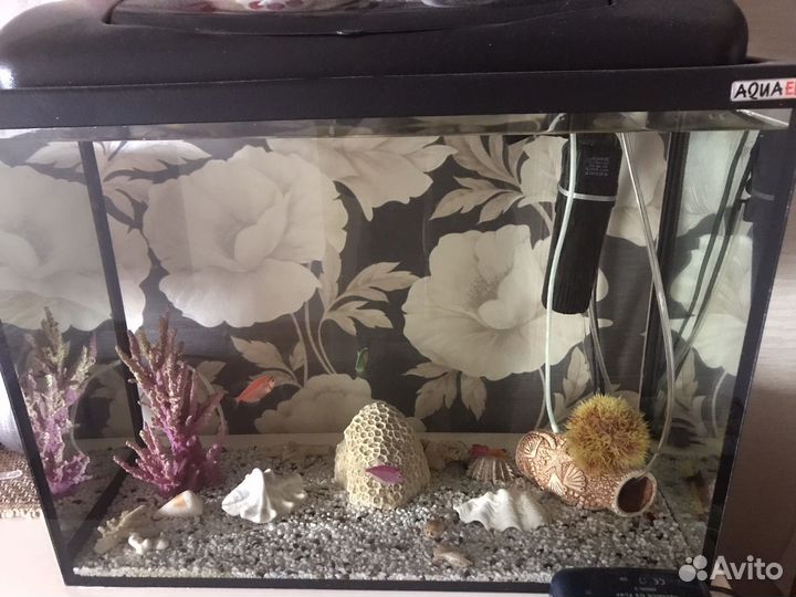 Аквариум
