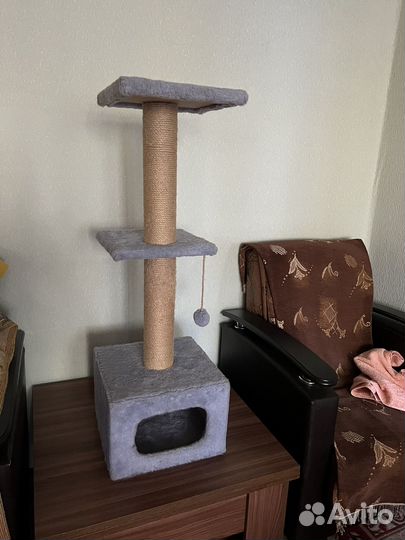 Когтеточка