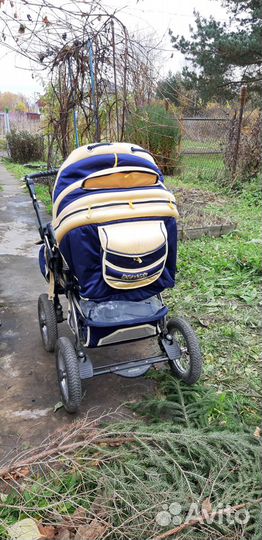 Коляска adamex avalon