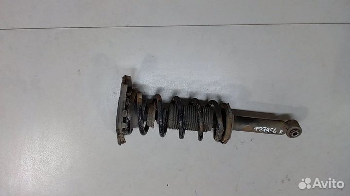 Амортизатор подвески Nissan Almera N16, 2002