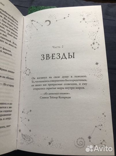 Дж. Рут Мейер «В бессердечном лесу»