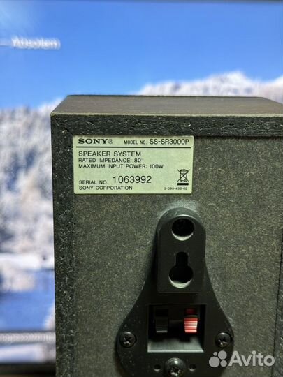 Напольная акустическая система sony SS-FCR6000