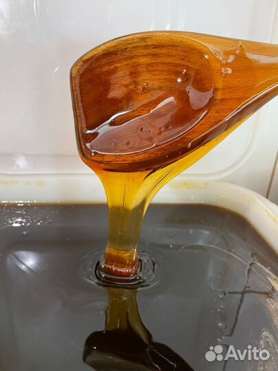 Продаю мед оптом