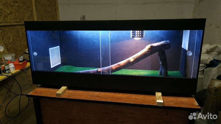 Террариумы для рептилий