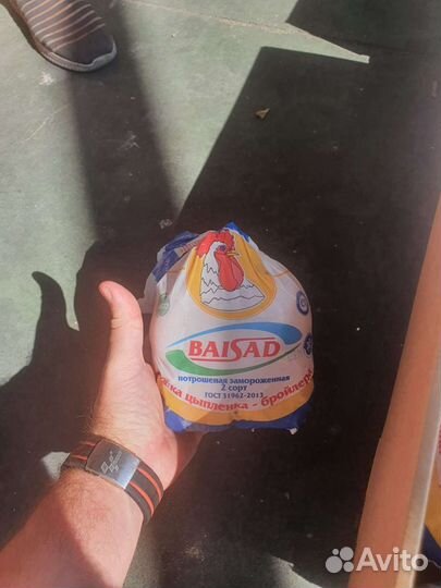 Куры бройлеры тушки мясо, цб