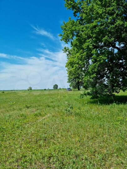 Участок 21,48 га (ИЖС)