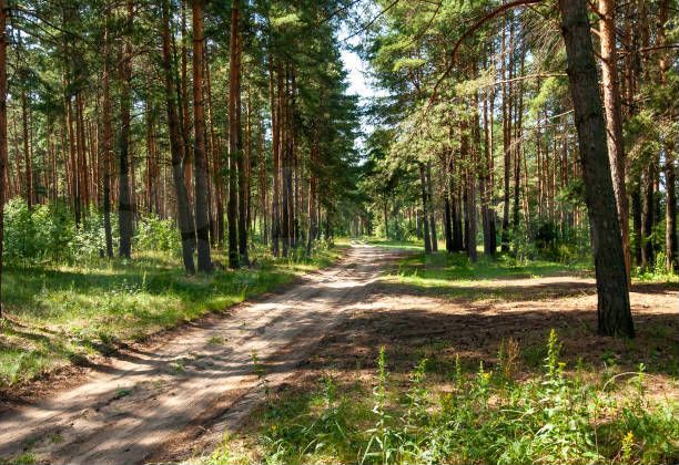 Участок 5 сот. (ИЖС)