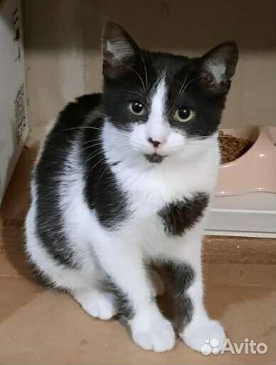 Европейская