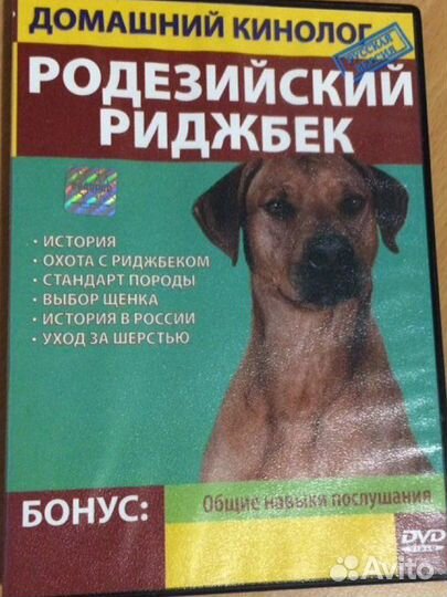 Диски DVD