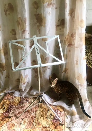 Пюпитр для нот. Пр-во СССР