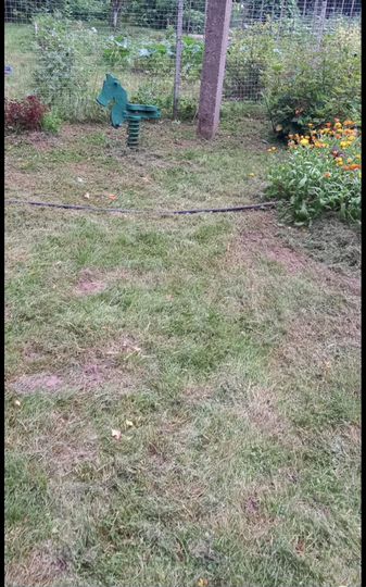 Дача 42,3 м² на участке 14 сот.