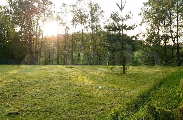 Участок 10 сот. (СНТ, ДНП)