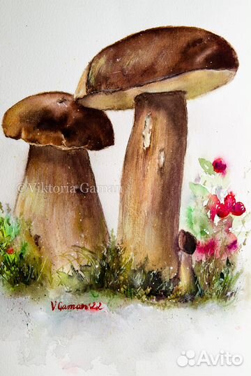 Акварельная картина Белые грибы и ягоды. Белый фон