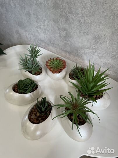 Суккуленты искусственная зелень