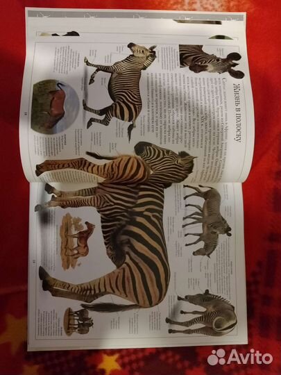 Книги о лошадях