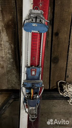 Горные лыжи salomon