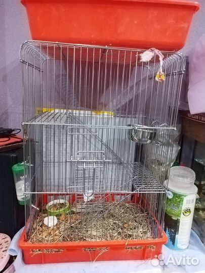 Клетка для грызунов бу