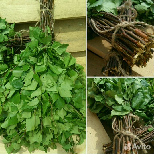 Веник березовый