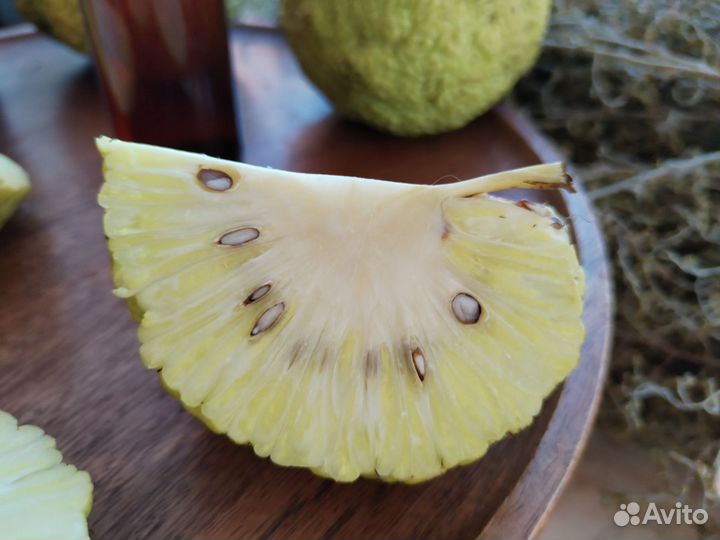 Средство от грибка ногтей