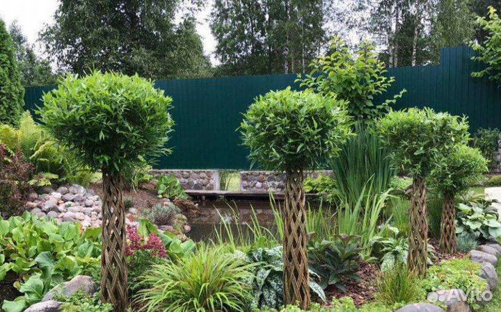 Деревья плетеные