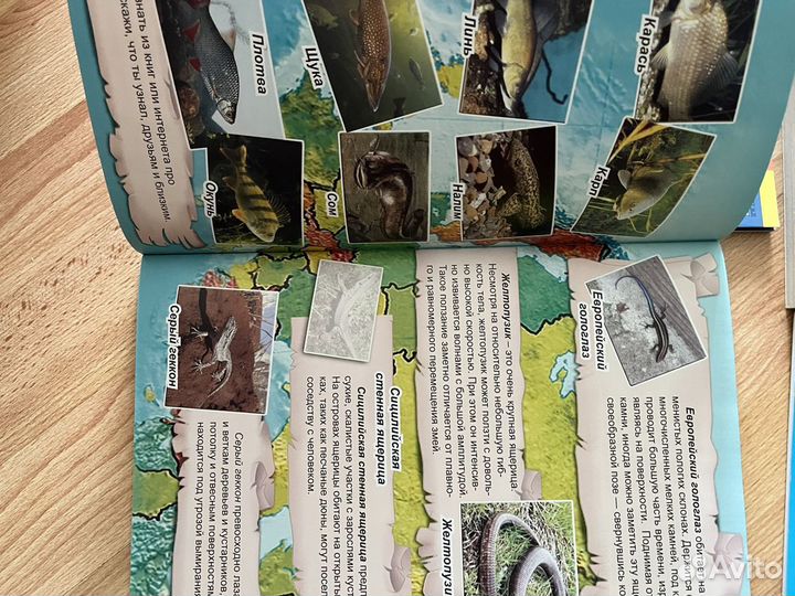 Детские книги энциклопедии