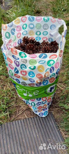 Шишки сосновые для поделок 50 шт