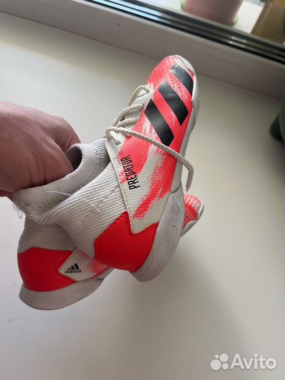 Футзалки adidas predator