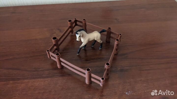 Андалузский жеребенок