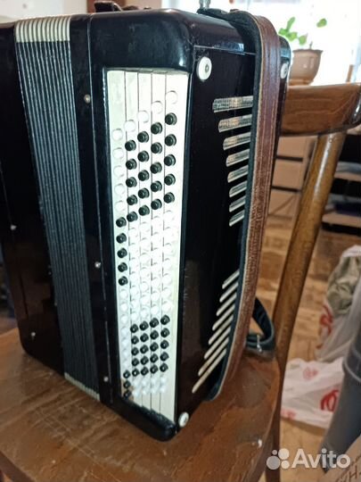 Баян тульский терка