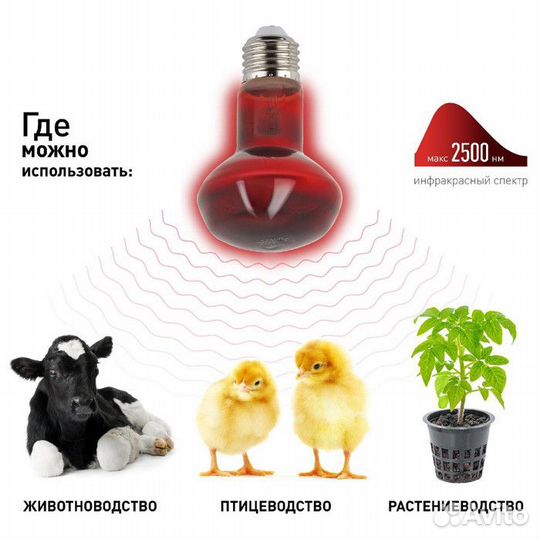 Инфракрасная лампа для цыплят и животных